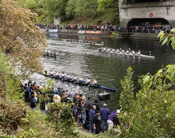 The Best Bang for Your Buck Events in Seattle This Weekend: May 2–4, 2025